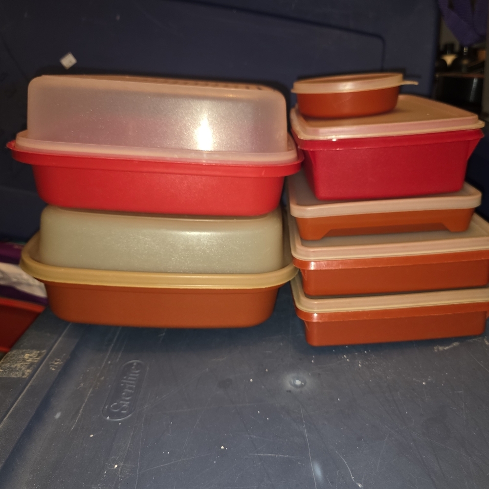 Vintage Tupperware Meat Tenderizer Marinade